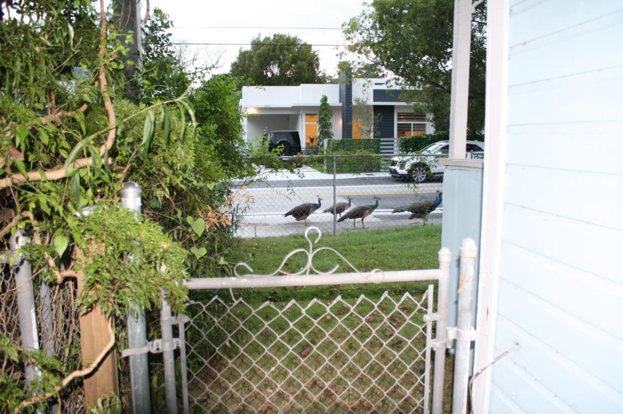 מיאמי Key West Style Historic Home In Coconut Grove Florida, The Blue House מראה חיצוני תמונה